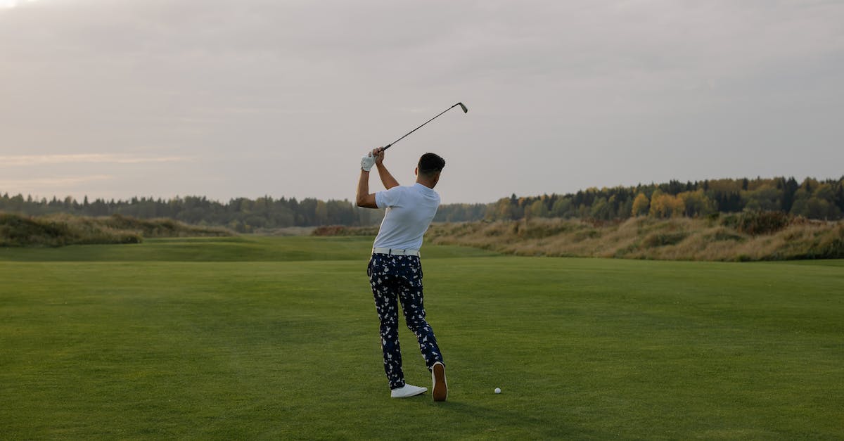My player - View roster? - Man in White T-Shirt and Black and White Pants Playing Golf