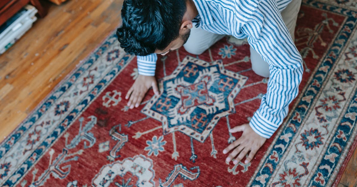 My Terraria NPC will not settle down in a house - Man in Blue and White Stripe Dress Shirt Bowing Down on Red and Blue Area Rug