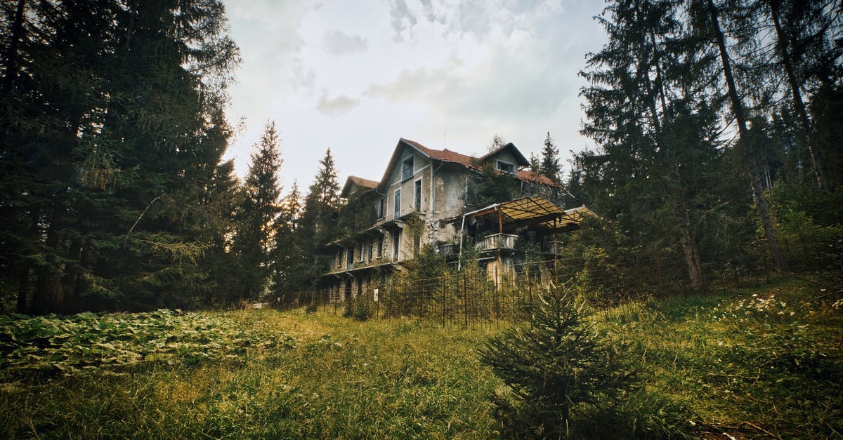 My Terraria NPC will not settle down in a house - Brown Wooden House Surrounded by Green Trees Under White Clouds