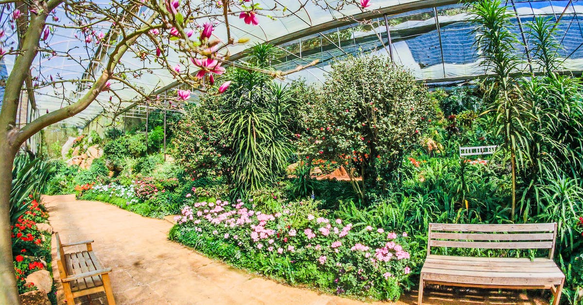 My tree farm is not growing even with bonemeal - Bench Surrounded With Green Plants My tree farm is not growing even with bonemeal - Bench Surrounded With Green Plants
