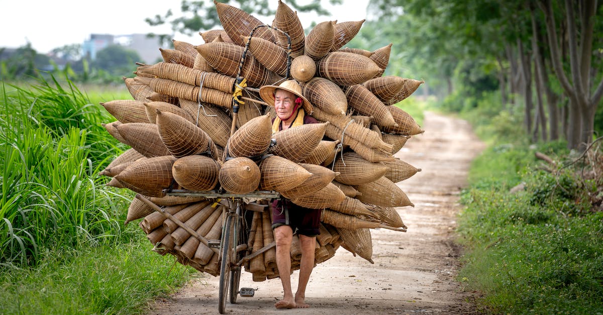 My villager has one trade and it is locked. Is that a glitch? - Senior Asian man in conical hat and casual clothes carrying bicycle with handmade bamboo fish traps on pathway among green plants in countryside in daytime