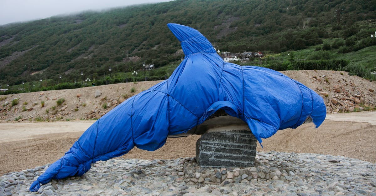 my wii had a wrap on it but the surface is now rough - Sculpture of fish wrapped in blue cover my wii had a wrap on it but the surface is now rough - Sculpture of fish wrapped in blue cover