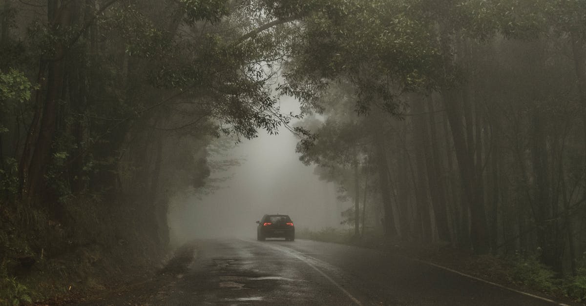 Mysterious creeper-like explosions - Car Passing on Road Between Trees Mysterious creeper-like explosions - Car Passing on Road Between Trees