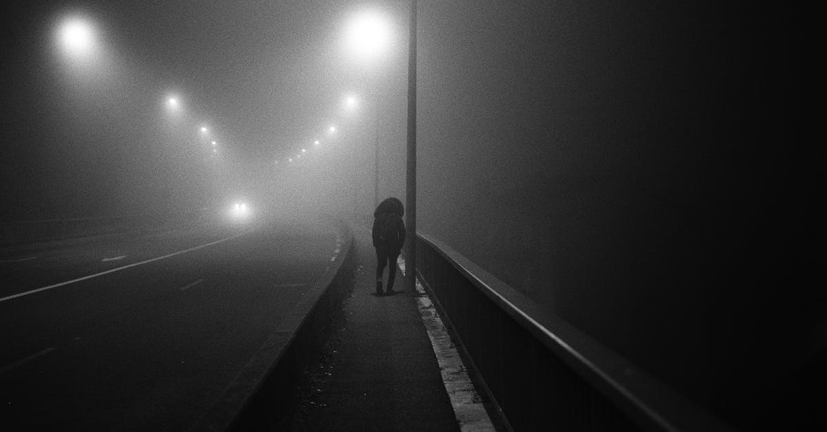 Night Person in Fallout 4 - Grayscale Photo of Woman Walking on the Bridge Night Person in Fallout 4 - Grayscale Photo of Woman Walking on the Bridge