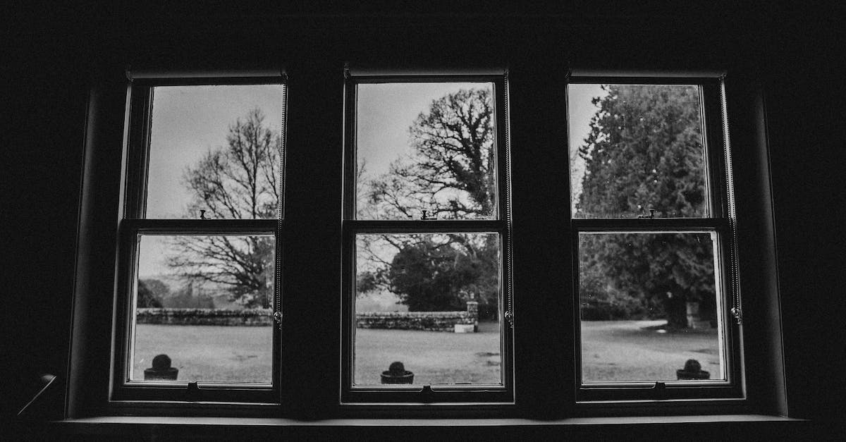 No audio in Dark Souls Prepare to Die Edition after Windows 10 Upgrade - Grayscale Photo of Window With a View of a City No audio in Dark Souls Prepare to Die Edition after Windows 10 Upgrade - Grayscale Photo of Window With a View of a City