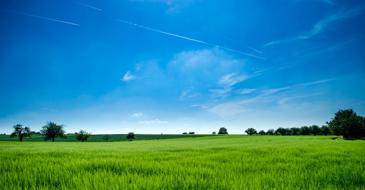 No land to start on Agrarian Skies? - Panoramic Photography of Green Field