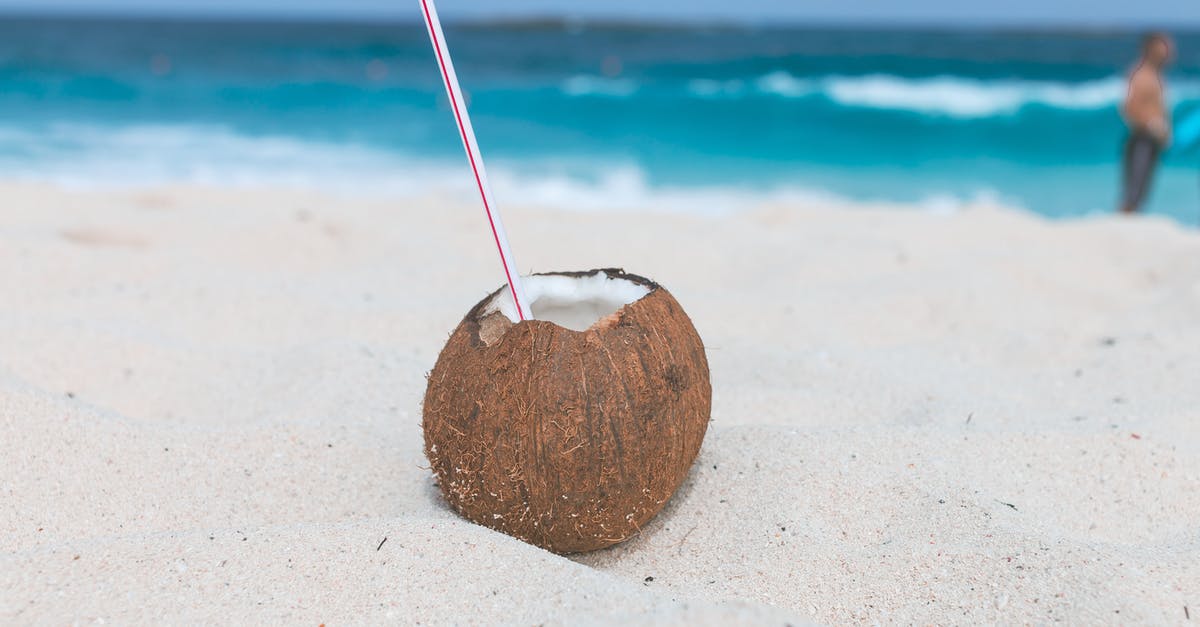 No Mans Sky size [closed] - Brown Coconut on Sand
