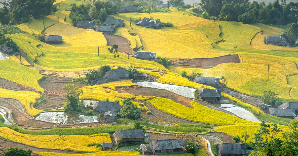 No pokemon in remote rural areas? [duplicate] - Spectacular view of bright green plantations and trees cultivated on hilly terrain near small rural cottages