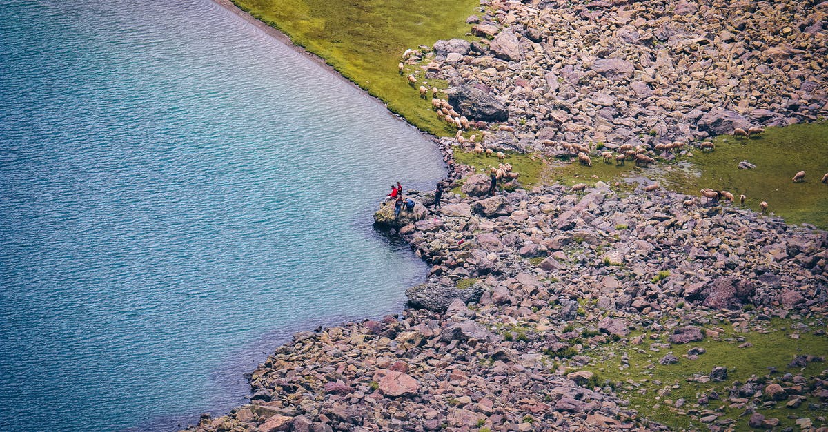 No pokestops, no gyms detected in Galaxy S7 Edge and Xperia Z - Person in Red Shirt Standing on Rock Near Body of Water