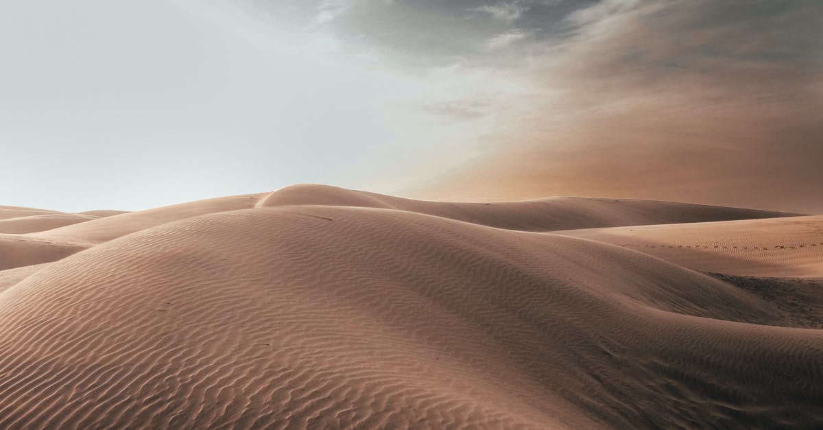 Non existent dweller - Brown Sand Non existent dweller - Brown Sand
