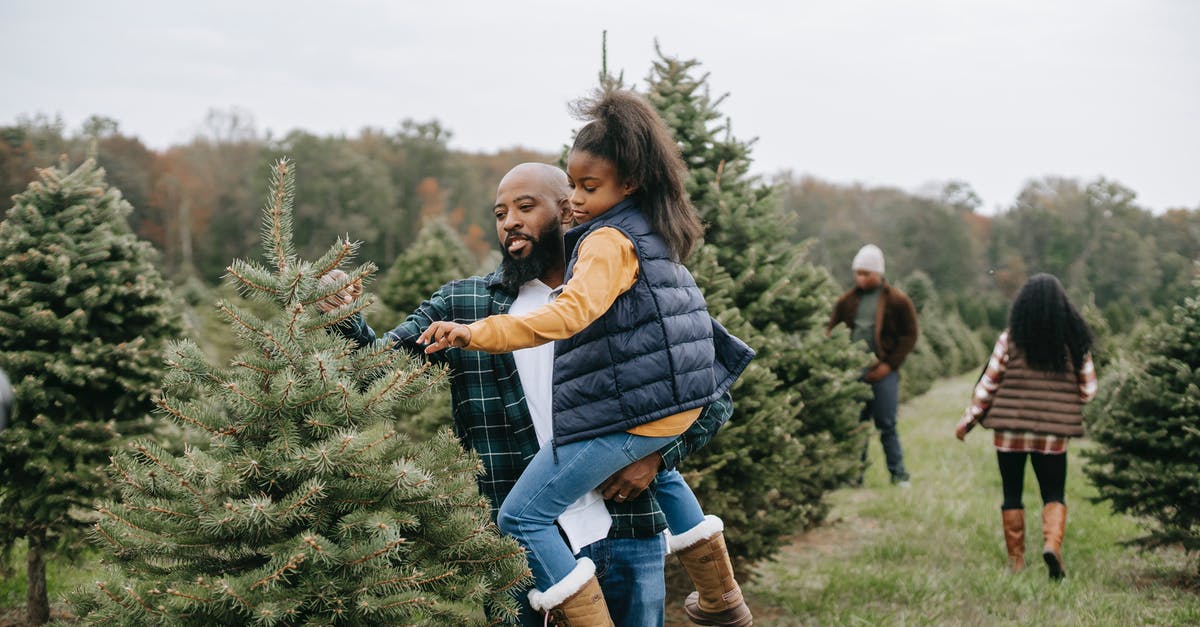 Northern crater, does the character path affect which item they pick up? - African American man carrying daughter and exploring green lush spruce while visiting tree farm