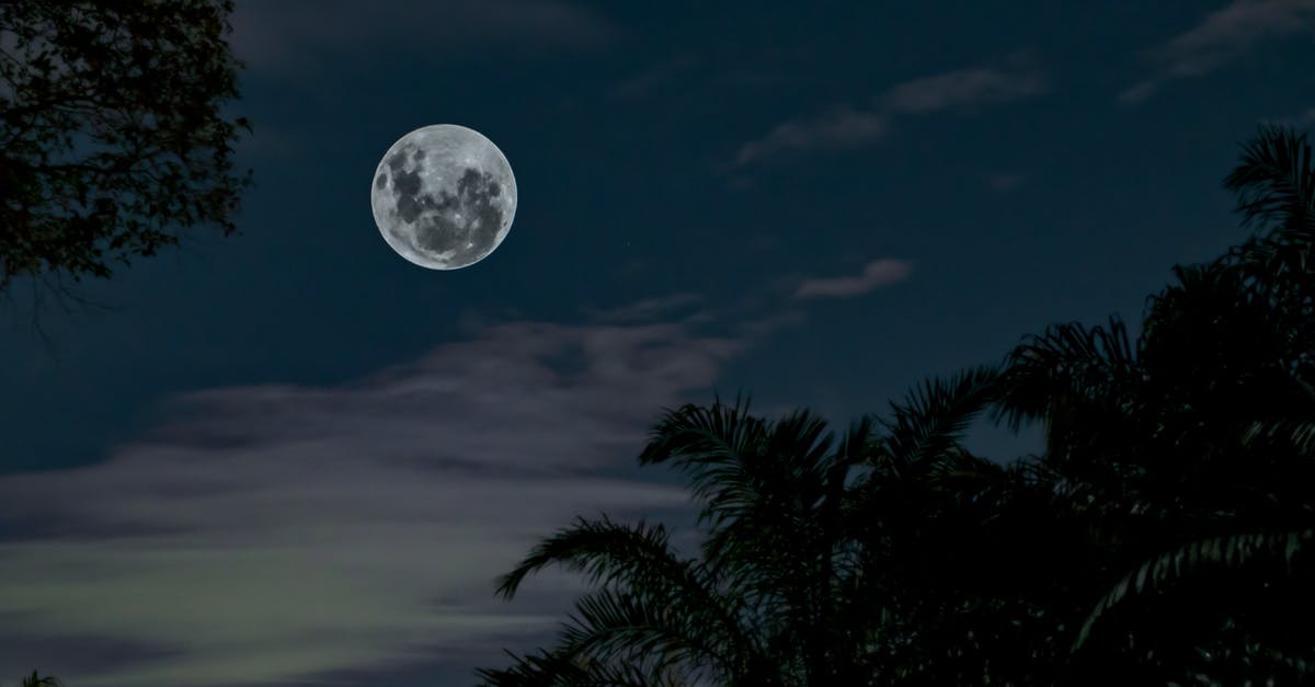 Not enough Cloud space to export RB1 songs for RB4, what now? - Low Angle Photography of Full Moon Under Silhouette of Tall Trees