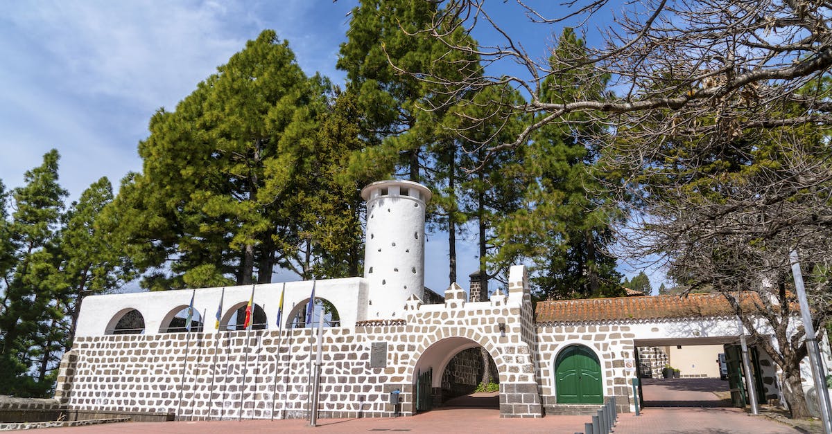 Nothing happens when I reach the tower entrance - Low angle of aged white stone building with arched entrance located amidst evergreen trees against blue sky