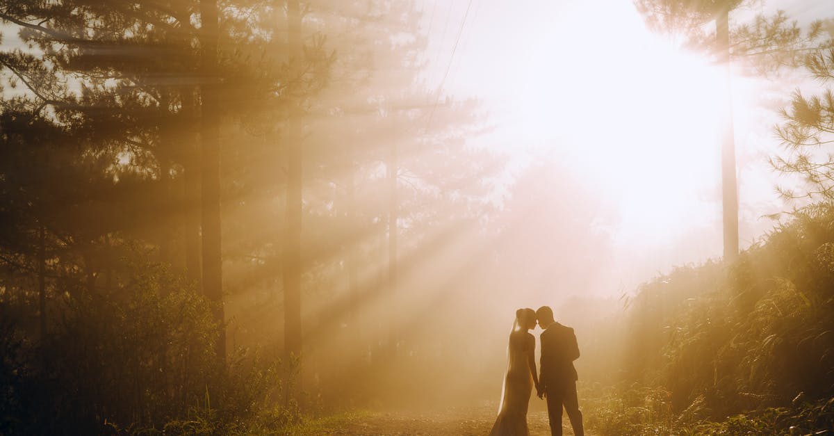 NPC Disappearance during Marriage Event - Back view of anonymous bride and groom holding hands while standing in woods near trees against bright sun beams in nature