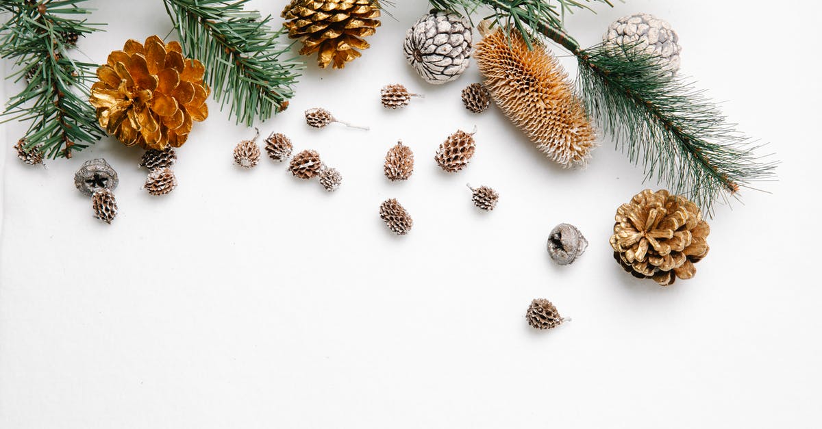 On the in-game "watch", is the white needle's scale 400 km? - Spruce tree branch near cones on white background On the in-game "watch", is the white needle's scale 400 km? - Spruce tree branch near cones on white background