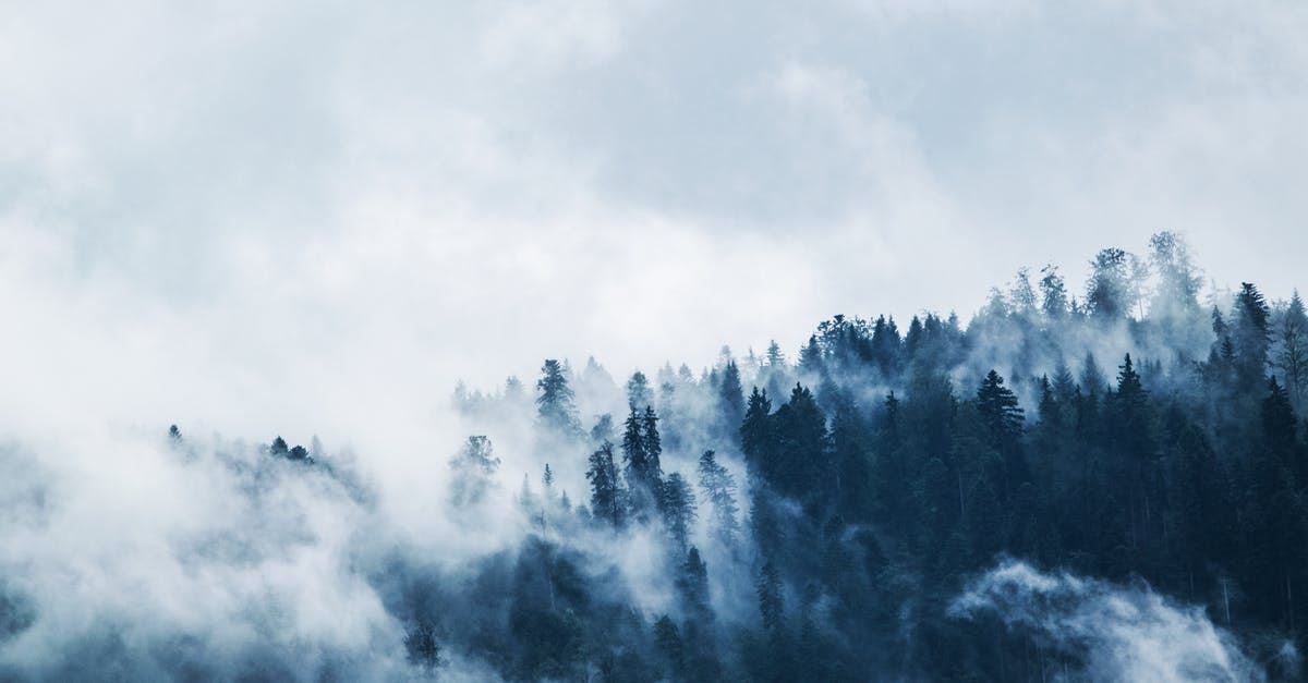 Pacman for PC does not persist high scores - Green Pine Trees Covered With Fogs Under White Sky during Daytime Pacman for PC does not persist high scores - Green Pine Trees Covered With Fogs Under White Sky during Daytime