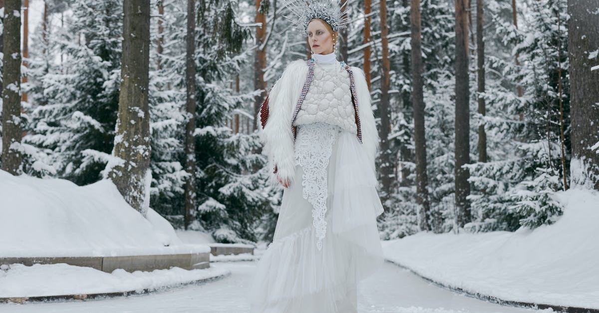 Paragon Points not available for new season character - A Woman in White Dress with a Crown Wearing Ice Skates Paragon Points not available for new season character - A Woman in White Dress with a Crown Wearing Ice Skates
