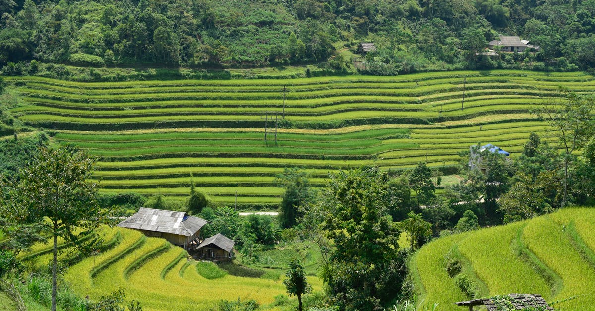 Paragon "farming" 2.4 - West North Viet Nam Paragon "farming" 2.4 - West North Viet Nam