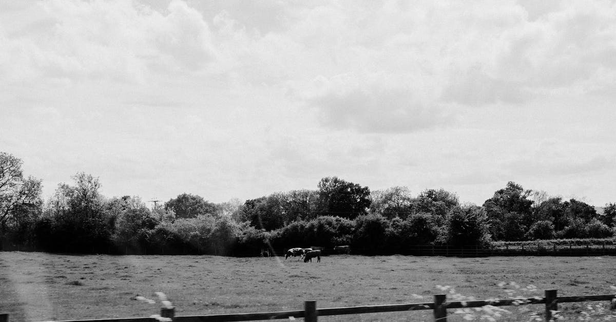 Paragon "farming" 2.4 - Grayscale Photo of Wooden Fence Near Trees Paragon "farming" 2.4 - Grayscale Photo of Wooden Fence Near Trees
