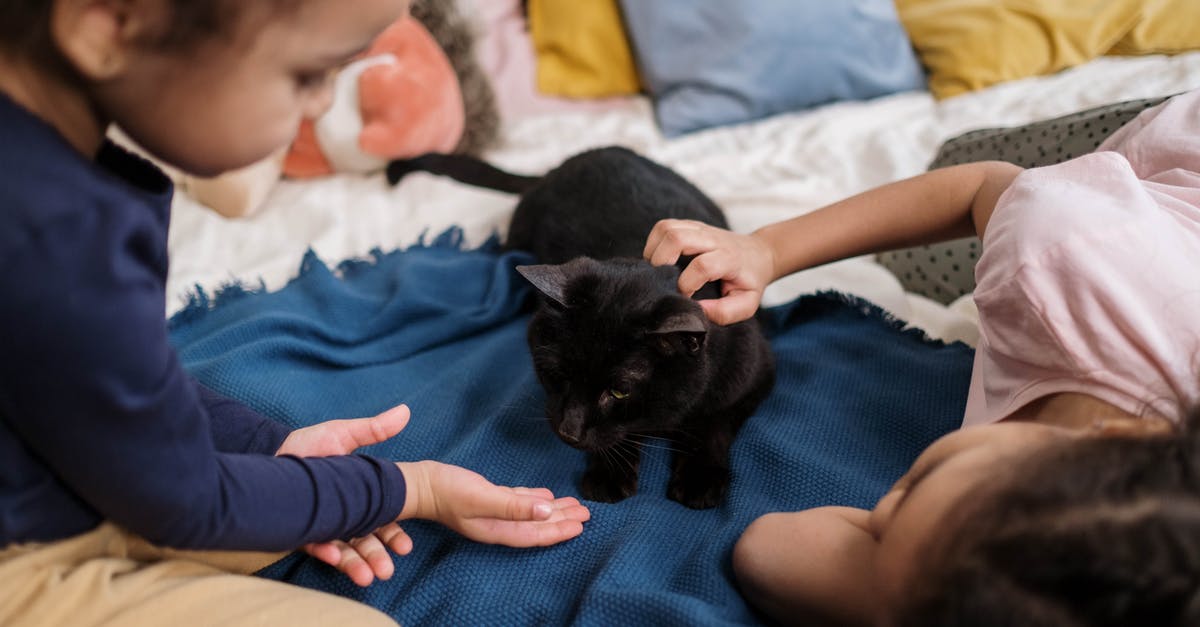 People keep crashing when playing or joining my room, how can I prevent that from happening? - Black Cat on the Bed People keep crashing when playing or joining my room, how can I prevent that from happening? - Black Cat on the Bed