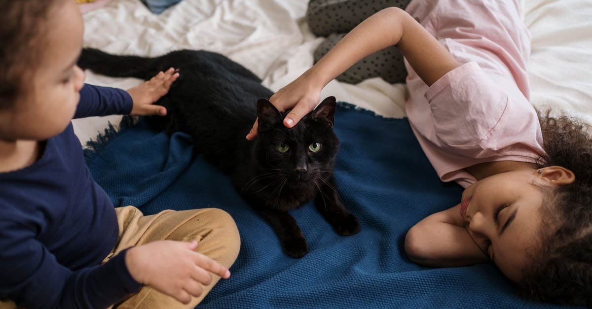 People keep crashing when playing or joining my room, how can I prevent that from happening? - Kids Lying On Bed with Black Cat People keep crashing when playing or joining my room, how can I prevent that from happening? - Kids Lying On Bed with Black Cat