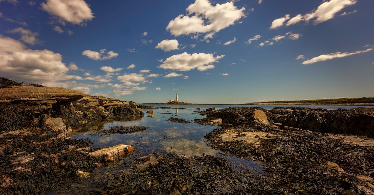 Phantom of Eldberg Contract - Can you access the Lighthouse afterwards? - Free stock photo of beach, lighthouse, seascape Phantom of Eldberg Contract - Can you access the Lighthouse afterwards? - Free stock photo of beach, lighthouse, seascape