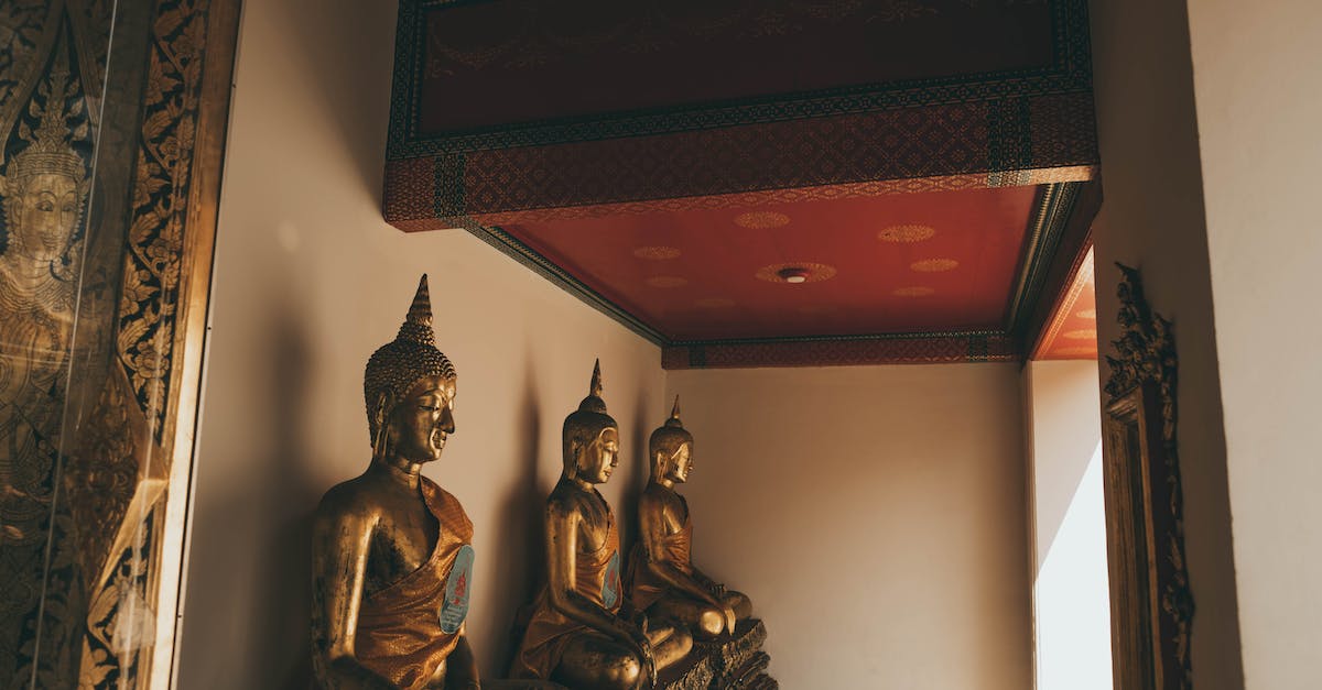 pick up spawn hindering artifacts on temple run? - Gold Buddha Figurine on Brown Wooden Table