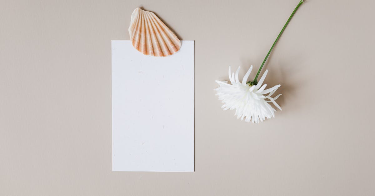 Piece of paper with a solution - the witness - Piece of Shell Lying on Blank Sheet of Paper and White Flower