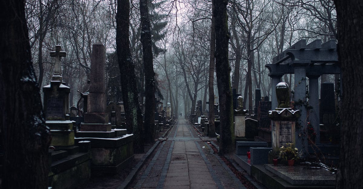Pilgrim Bellclaire dead (Tombstone/Ressurection?) - A Walkway Inside the Cemetery Pilgrim Bellclaire dead (Tombstone/Ressurection?) - A Walkway Inside the Cemetery