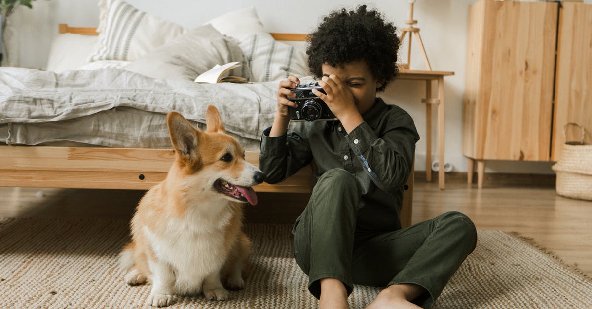 Pixel Dungeon Yog-Dzewa taking no damage - Boy Taking Picture of Dog on Vintage Camera