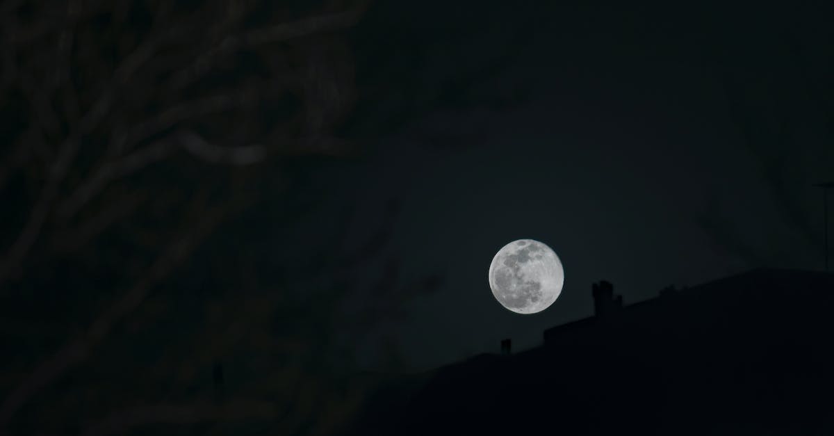 Plague Inc. full version - Full Moon in Dark Night Sky