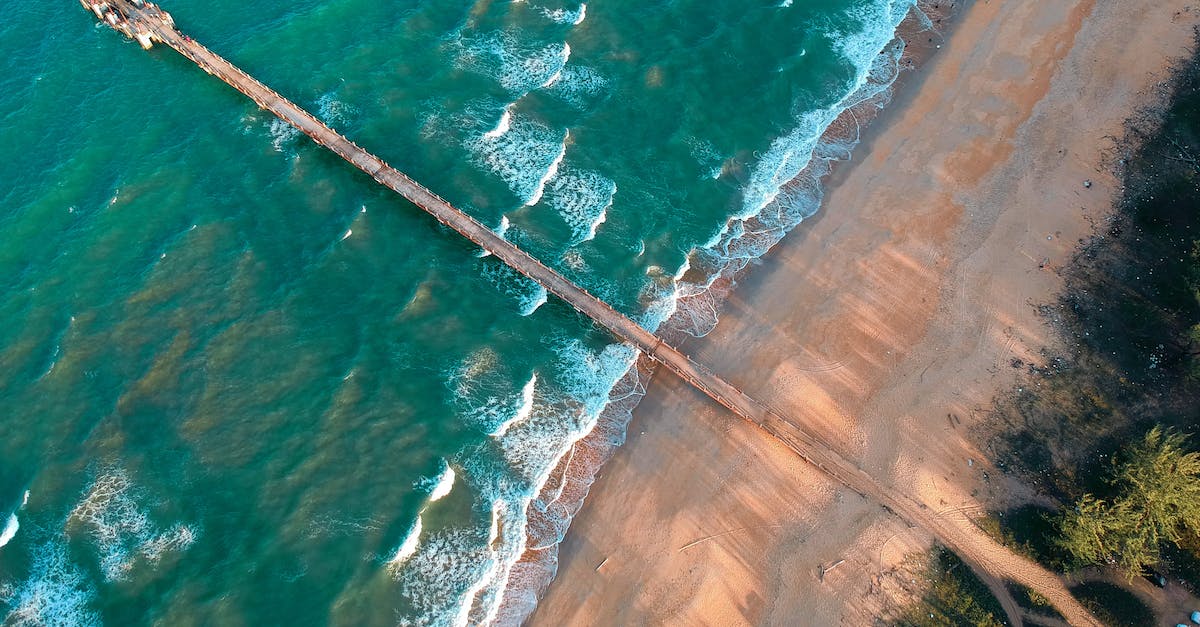 Plane in Trevor's Sandy Shore Hangar after Nervous Ron mission - Aerial Photography of Wooden Dock on Sea