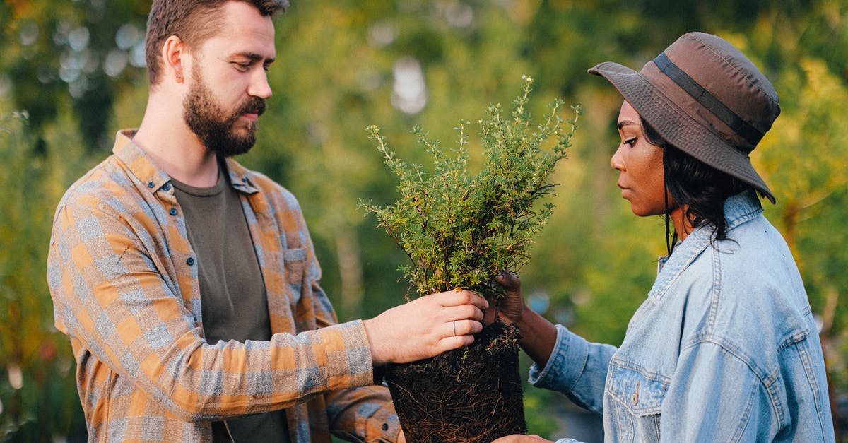 Plants vs Zombies 2 level 20 not giving prize -
A Bearded Man Giving a Plant to a Woman in Denim Jacket Plants vs Zombies 2 level 20 not giving prize -
A Bearded Man Giving a Plant to a Woman in Denim Jacket