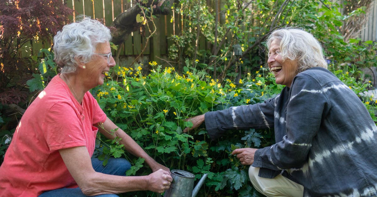 Plants vs. Zombies: Garden Warfare Multiplayer on Xbox One & PS4 - Older female couple together