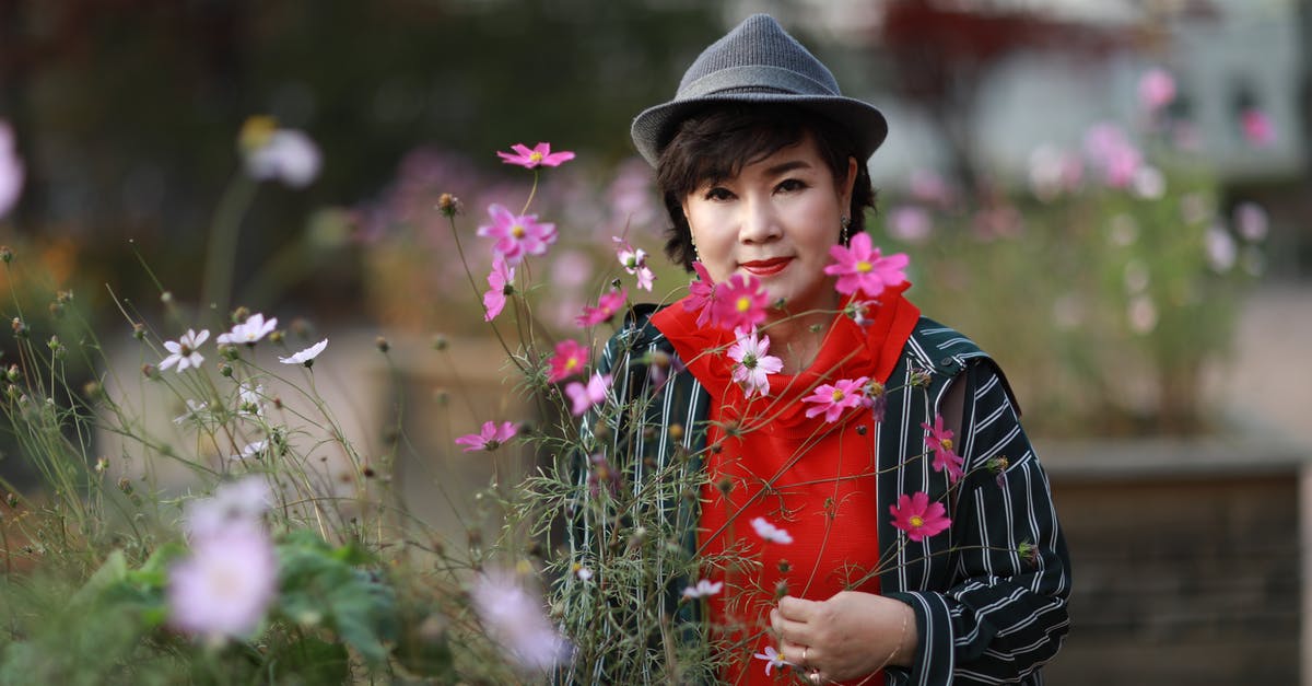 Plants vs. Zombies: Garden Warfare Multiplayer on Xbox One & PS4 - Girl in Blue and Red Long Sleeve Shirt and Brown Hat Standing on Green Grass Field