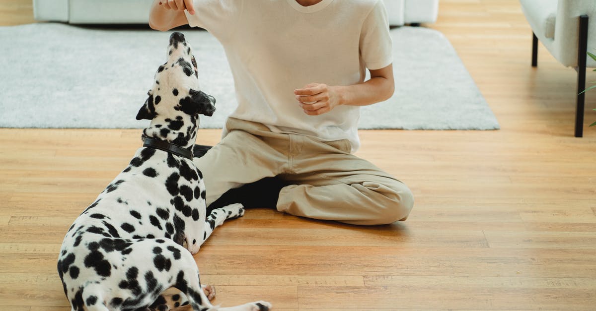 Play 2nd DLC without 1st - Woman in White Long Sleeve Shirt and Brown Pants Sitting on Floor Play 2nd DLC without 1st - Woman in White Long Sleeve Shirt and Brown Pants Sitting on Floor