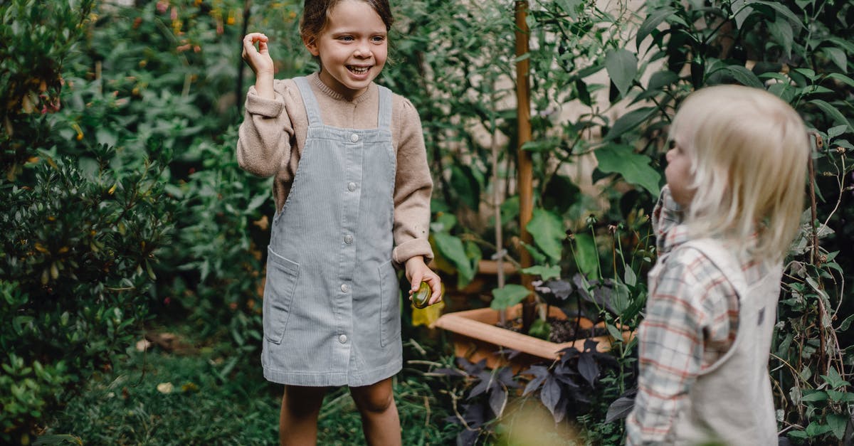 Play as zombies in split-screen Plants vs. Zombies: Garden Warfare 1 - Cute little siblings playing together in garden near lush plants