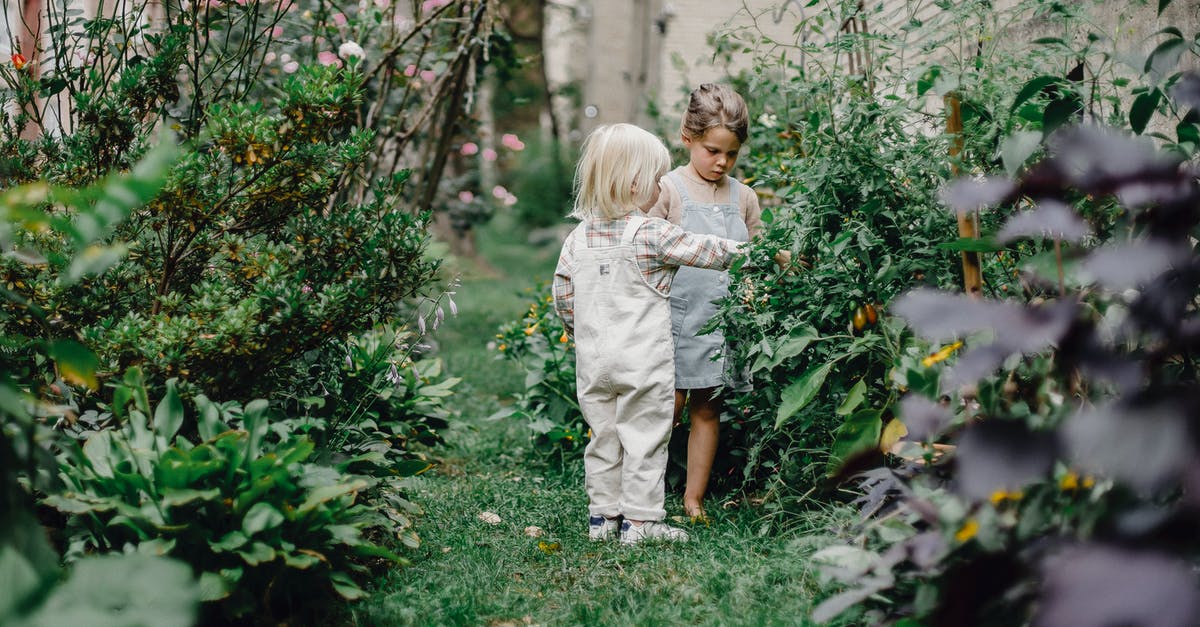 Play as zombies in split-screen Plants vs. Zombies: Garden Warfare 1 - Calm stylish children spending time together in garden