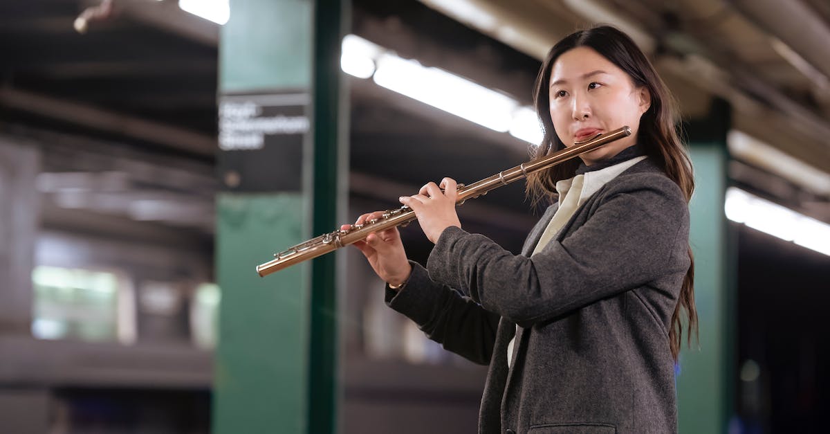 Play station Plus account on 2 PS4 - Ethnic woman playing flute on underground station Play station Plus account on 2 PS4 - Ethnic woman playing flute on underground station
