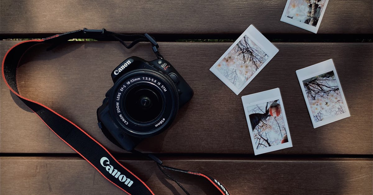 Playstation Plus Instant Game Collection on same device, from multiple countries - Top view of modern photo camera and instant photos of flowers composed together on wooden surface Playstation Plus Instant Game Collection on same device, from multiple countries - Top view of modern photo camera and instant photos of flowers composed together on wooden surface