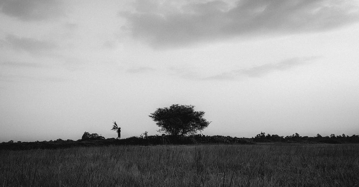 Please instruct me on how to light myself on fire [duplicate] - 