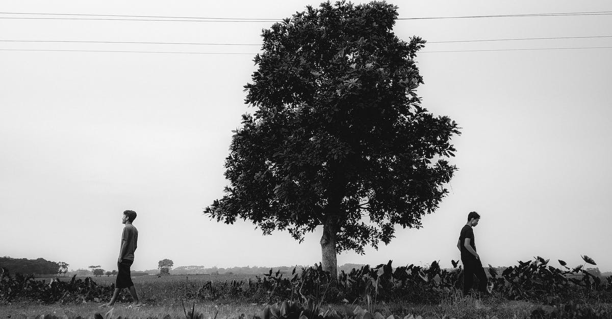 Please instruct me on how to light myself on fire [duplicate] - Free stock photo of 71bangladesh, abstract, adventure