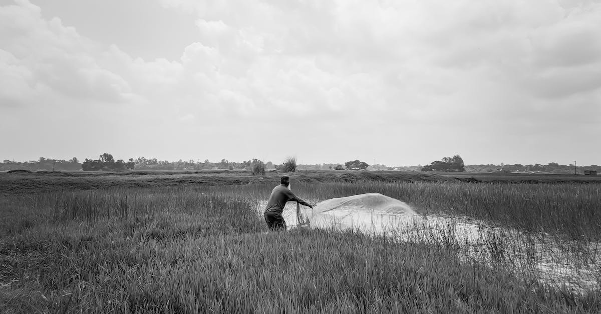 Please instruct me on how to light myself on fire [duplicate] - Free stock photo of 71bangladesh, abstract, adventure