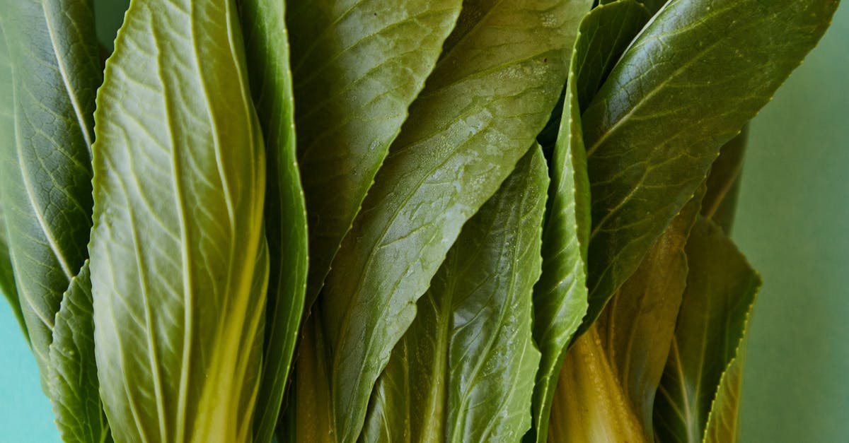 Pokémon showing in Pokédex but not in Pokémon? - Pok choi with fresh green leaves