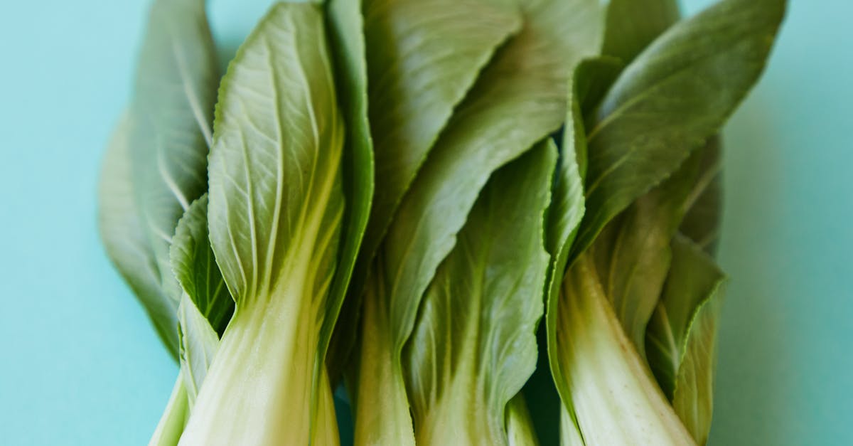 Pokémon showing in Pokédex but not in Pokémon? - From above of verdant ripe leaves of pok choi placed on blue background Pokémon showing in Pokédex but not in Pokémon? - From above of verdant ripe leaves of pok choi placed on blue background