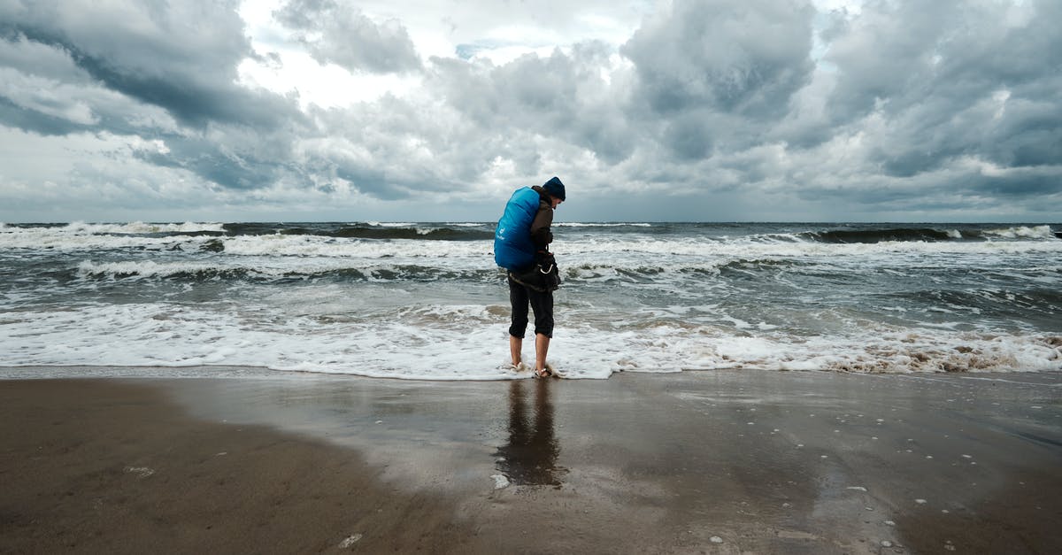 Pokemon go crashes down [duplicate] - Man Standing on Beach Under White Clouds
