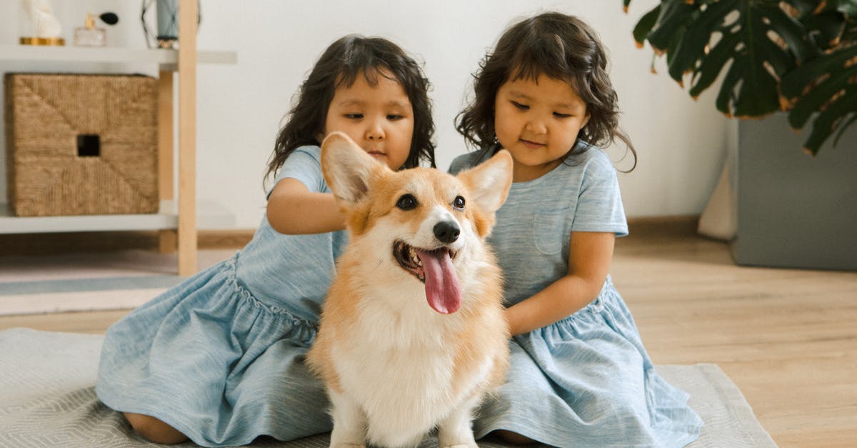 Pokemon Home Wonder Box Update - Twin Girls with a Small Dog Sitting on a Carpet