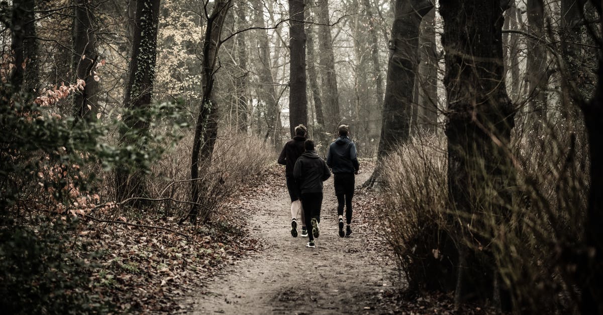Pokemon keep running away- is there any way to stop them? [duplicate] - Monochrome Photography of People Jogging Through The Woods