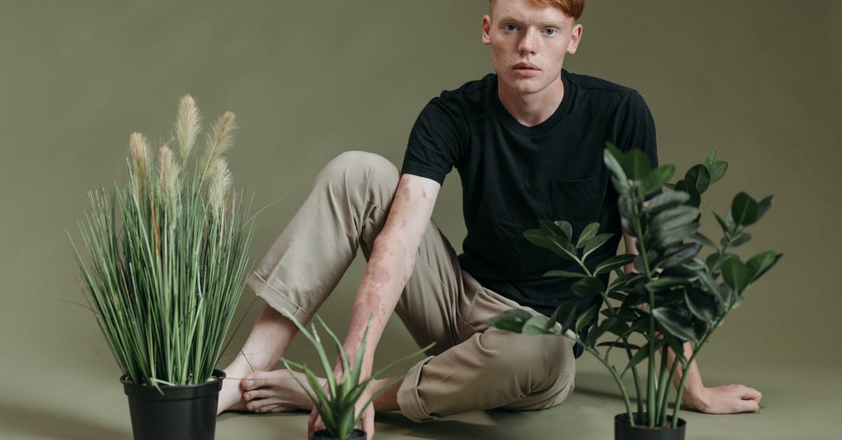 Pokemon leaves won't appear - Free stock photo of barefoot, beige, ears