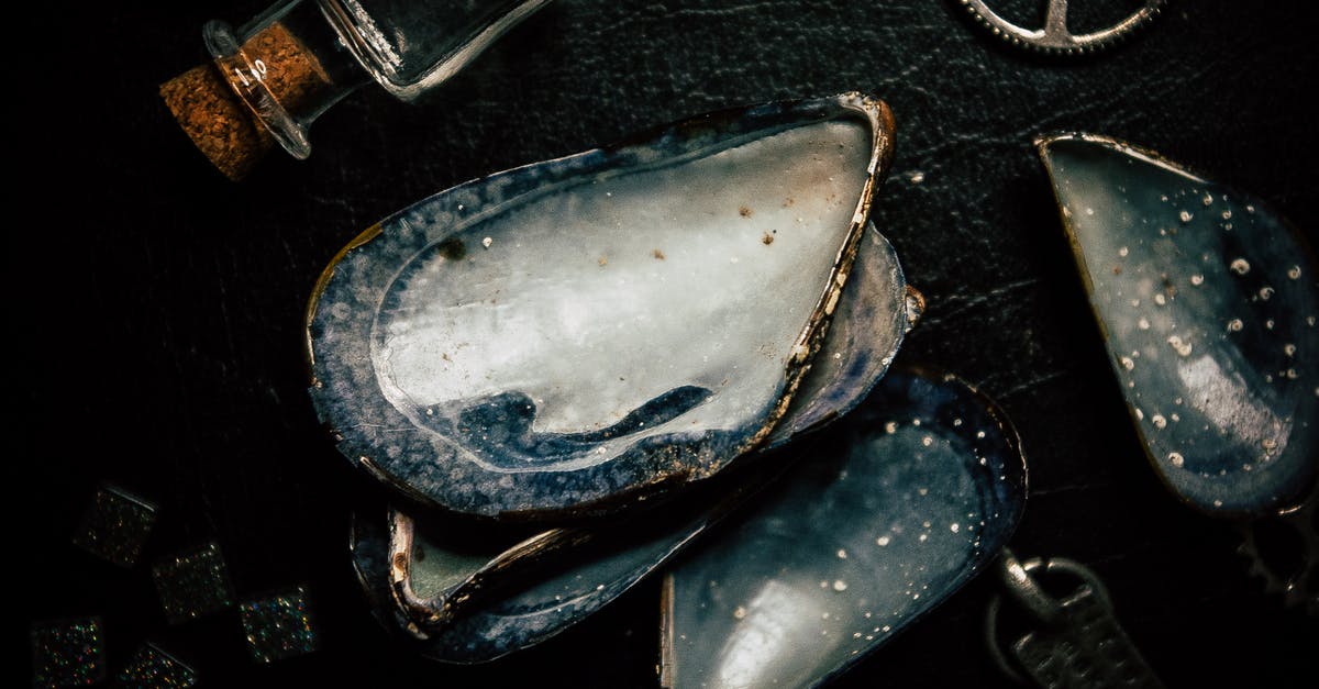 Possible endings in Metal Gear Solid V: TPP - Large seashells placed near metal gear wheel Possible endings in Metal Gear Solid V: TPP - Large seashells placed near metal gear wheel